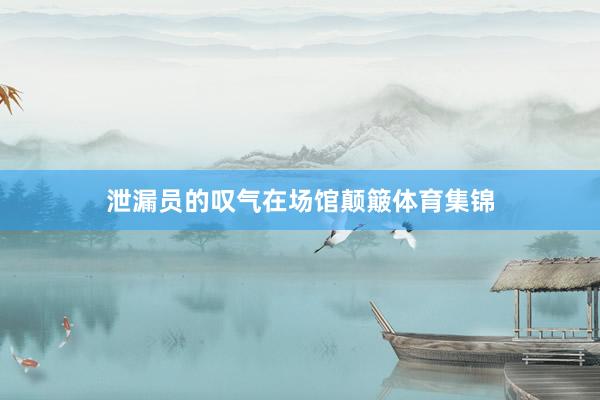 泄漏员的叹气在场馆颠簸体育集锦