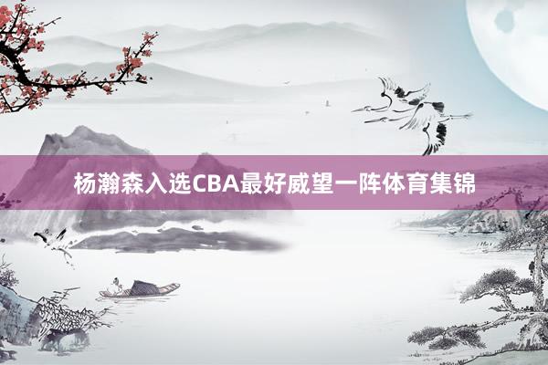 杨瀚森入选CBA最好威望一阵体育集锦
