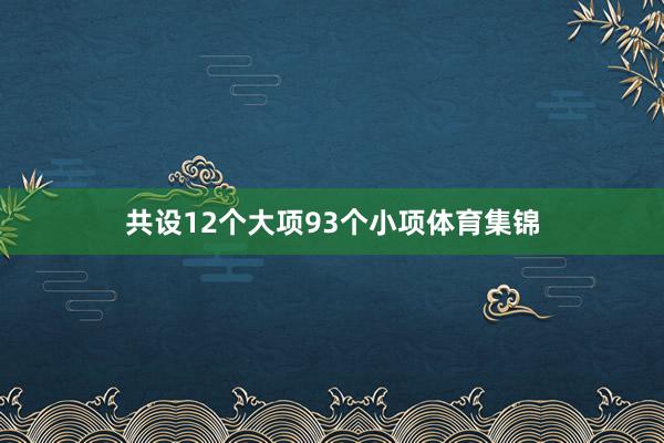 共设12个大项93个小项体育集锦