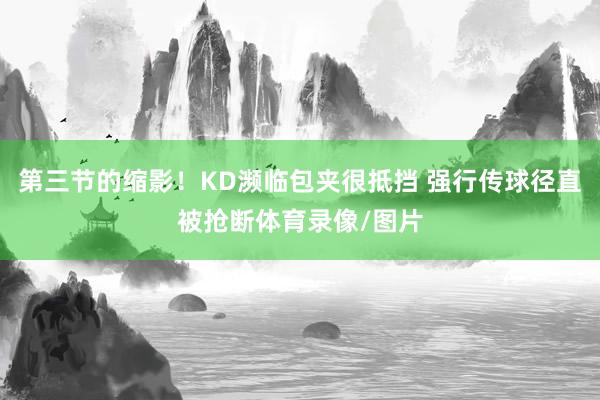 第三节的缩影！KD濒临包夹很抵挡 强行传球径直被抢断体育录像/图片