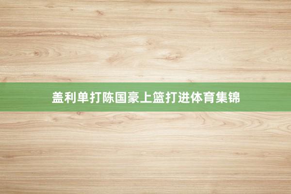 盖利单打陈国豪上篮打进体育集锦