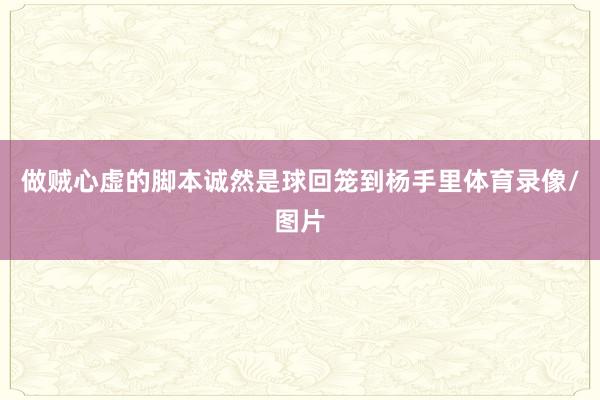 做贼心虚的脚本诚然是球回笼到杨手里体育录像/图片